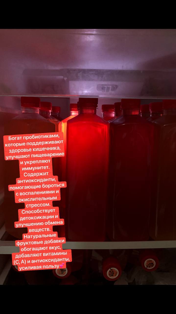 Рекомендация камбучи и квашеной капусты
